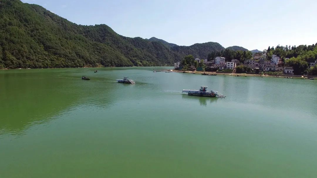 1672038729532623.jpg 1672038729532623.jpg